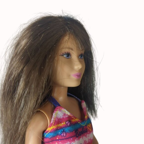 Barbie Life In The Dreamhouse Sisters Camping Doll Skipper Redressed Blue Streak - Picture 4 of 6